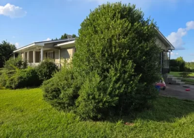 Professional Landscaping Contractor