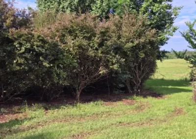 Top Residential Landscaping