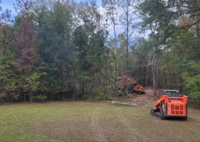 Expert Landscaping Contractor