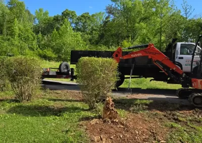 Professional Hardscape Contractor