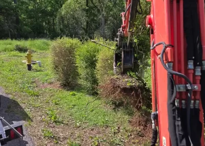 Professional Hardscape Contractor
