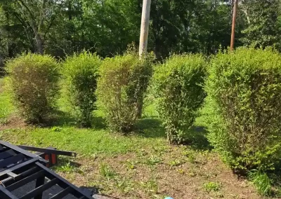 Professional Hardscape Contractor