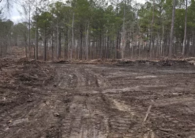 Professional Hardscape Contractor